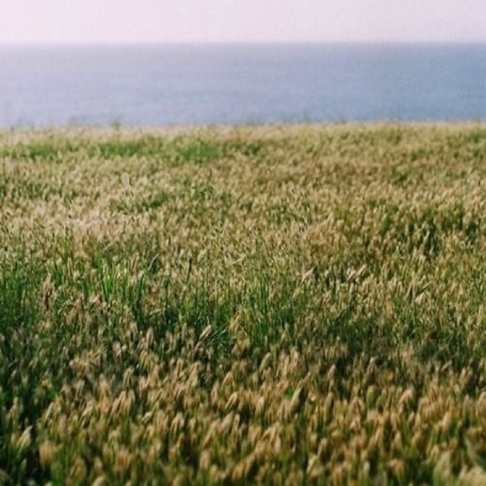 Meet your Posher, Emilie